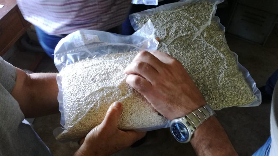Benech recorrió establecimientos de Tacuarembó que aplican control biológico a través de bioinsumos Ministro Benech visitó Tacuarembó