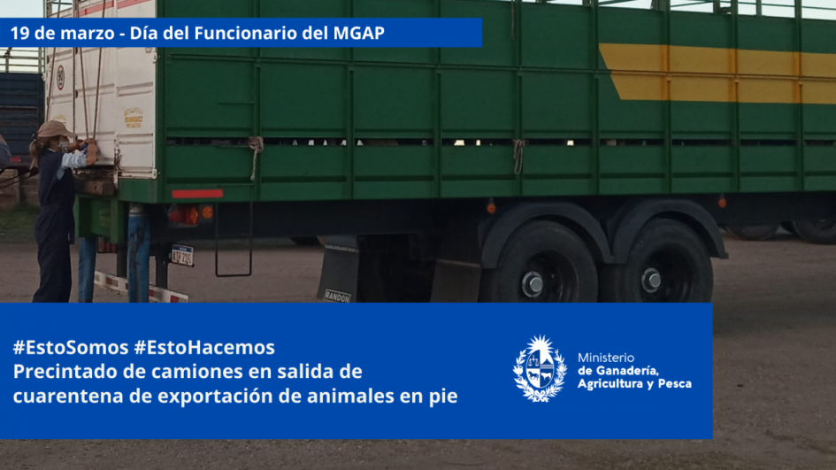 Funcionarios/as del MGAP en plena tarea Funcionarios/as del MGAP en plena tarea