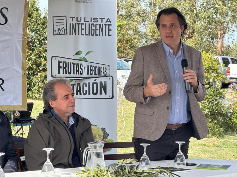 Zafra del olivo Zafra del olivo