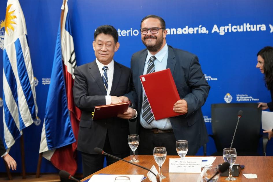 Firma de memorando Firma de memorando