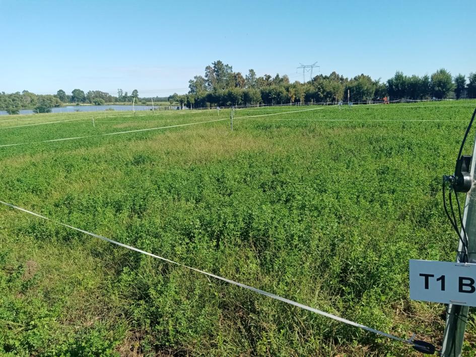 4ta Jornada de promoción de riego: Riego suplementario en pasturas 4ta Jornada de promoción de riego: Riego suplementario en pasturas