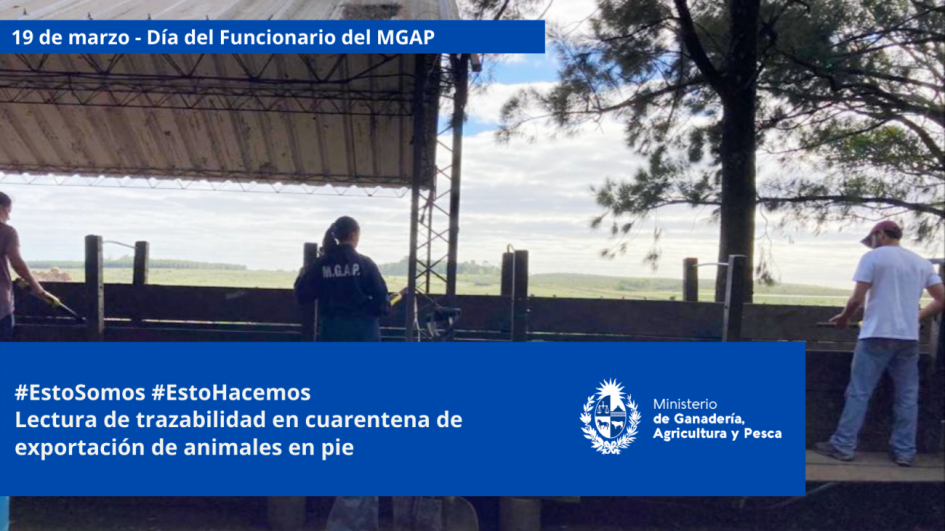 Funcionarios/as del MGAP en plena tarea Funcionarios/as del MGAP en plena tarea