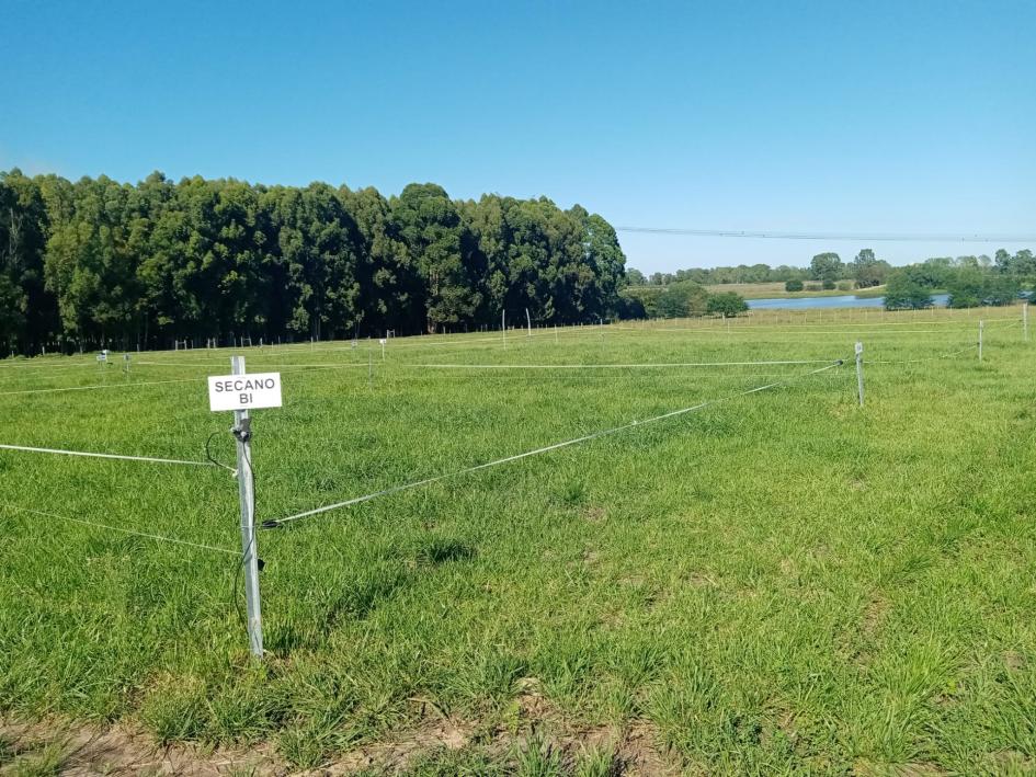 4ta Jornada de promoción de riego: Riego suplementario en pasturas