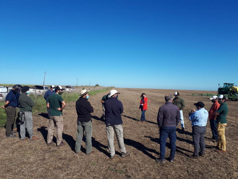 DeepAgro: Aplicación de fitosanitarios DeepAgro: Aplicación de fitosanitarios
