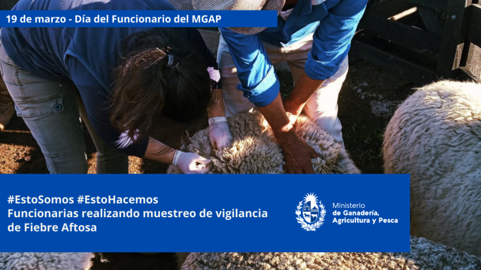 Funcionarios/as del MGAP en plena tarea Funcionarios/as del MGAP en plena tarea