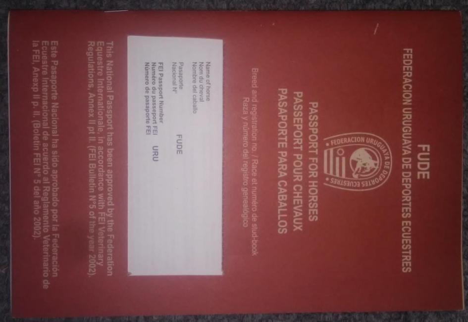 Pasaporte equino Pasaporte equino
