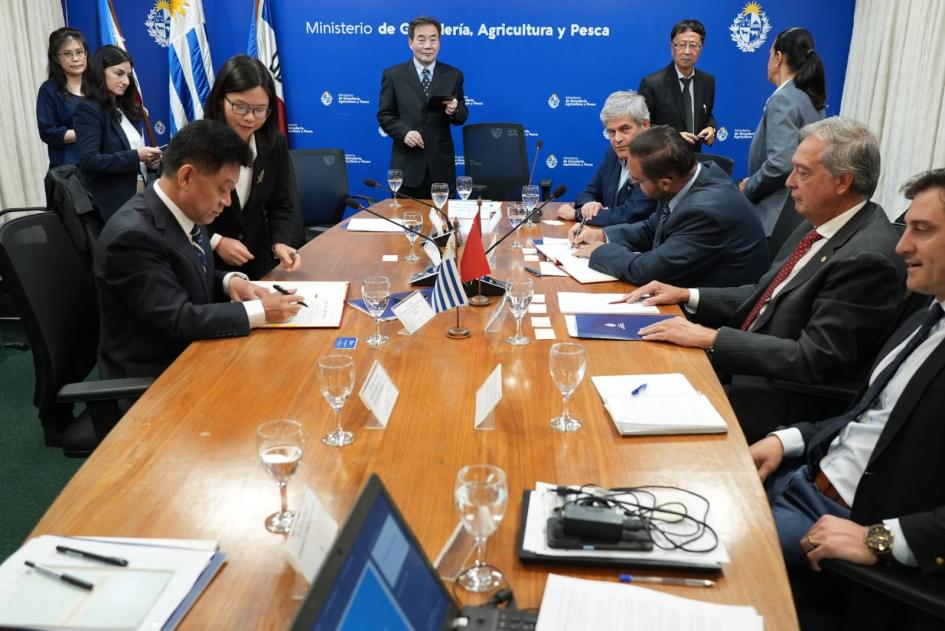 Firma de memorando Firma de memorando