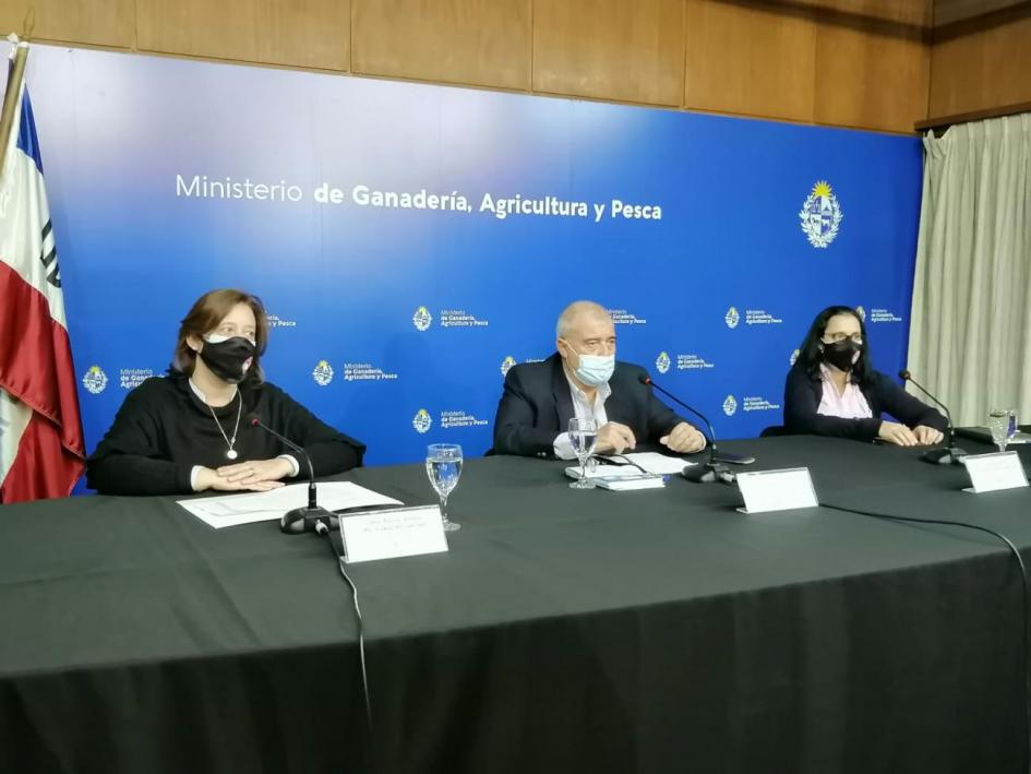 Conferencia de prensa Conferencia de prensa