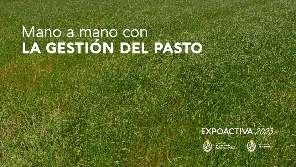 Charla Charla