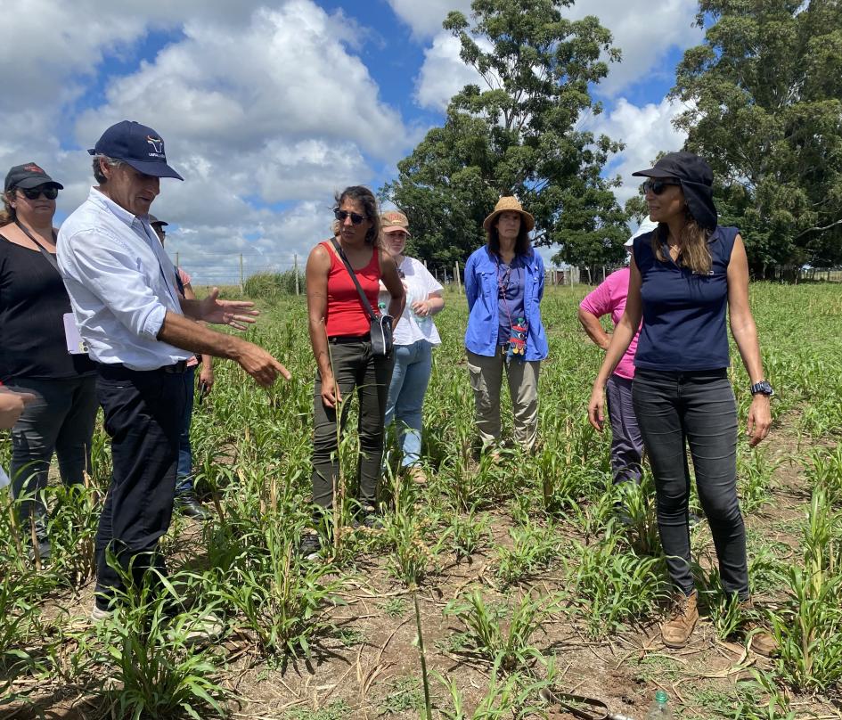 Mujeres rurales y del agro compartieron jornada sobre conservación del suelo y campo natural Mujeres rurales y del agro compartieron jornada sobre conservación del suelo y campo natural