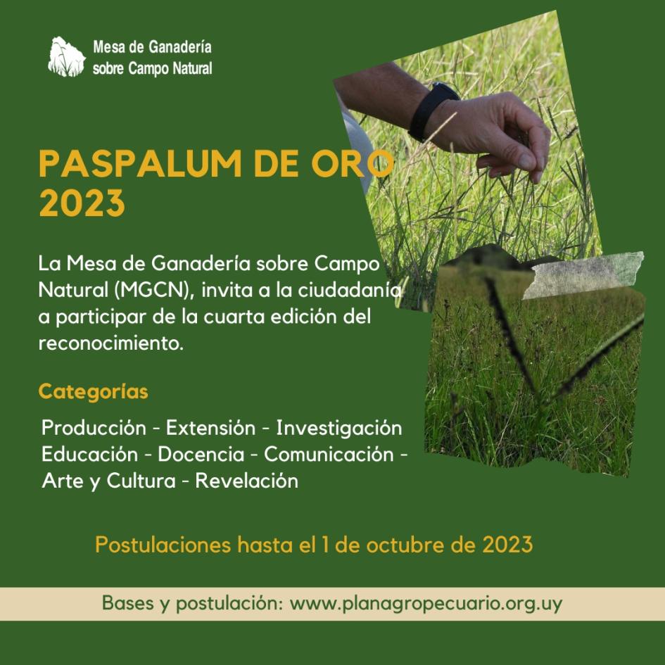 Afiche convocatoria paspalum de oro 2023 Afiche convocatoria paspalum de oro 2023