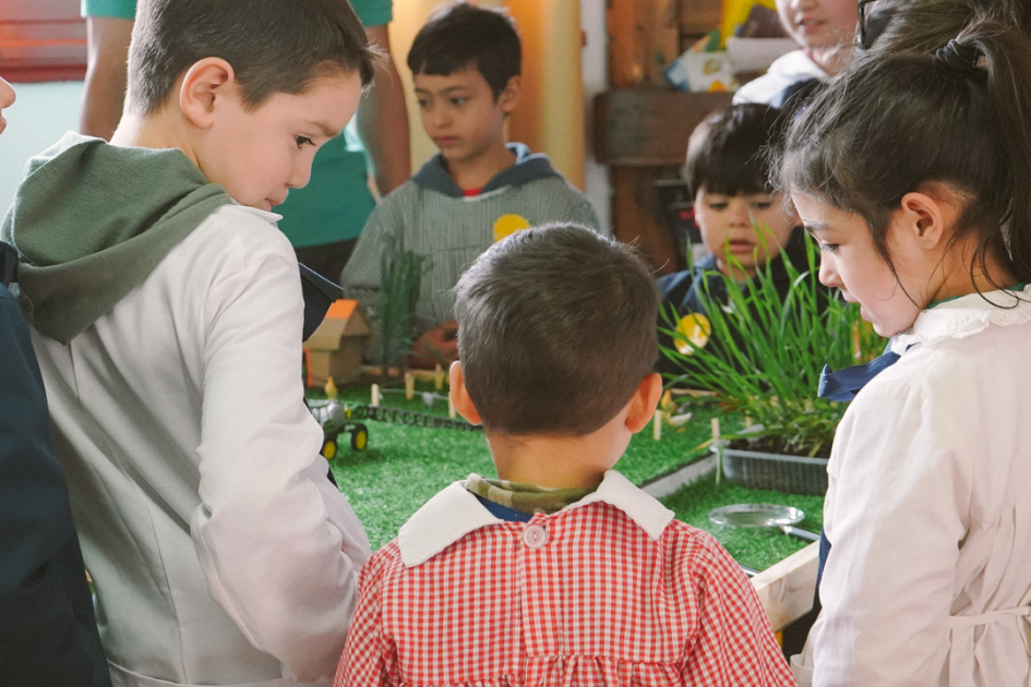 Estudiantes de la escuela nº 3 de Agraciada