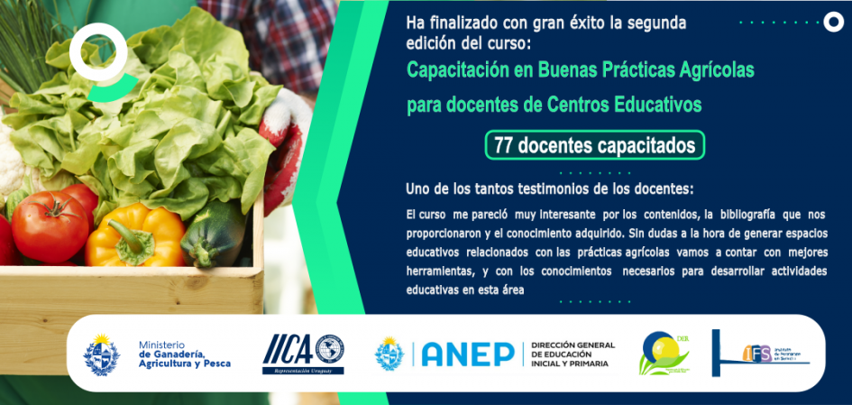 BPA para Docentes