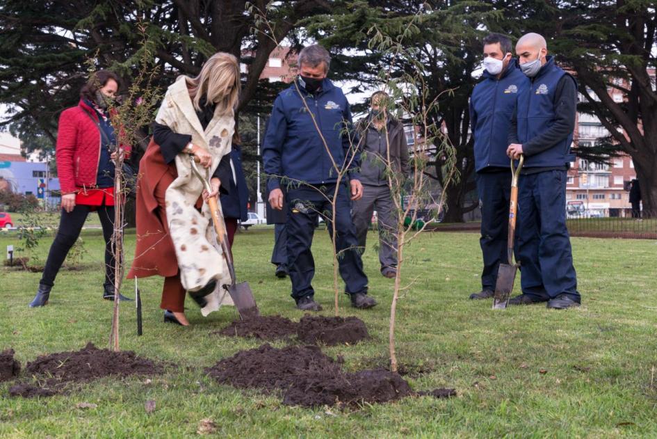 Beatriz Argimón realiza plantación