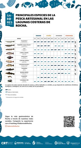Calendario especies lagunas costeras
