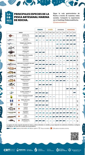 Calendario especies pesca artesanal marina