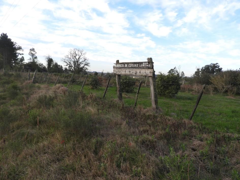 cartel arboreto 