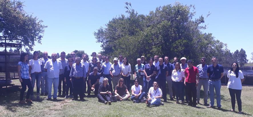 Grupo completo de participantes de Cecope Grupo completo de participantes de Cecope