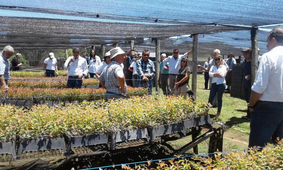 Grupo en trabajo práctico en Cecope