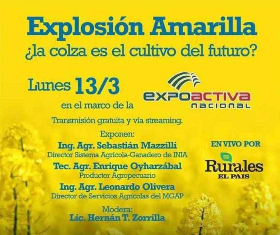 colza expo activa charla colza