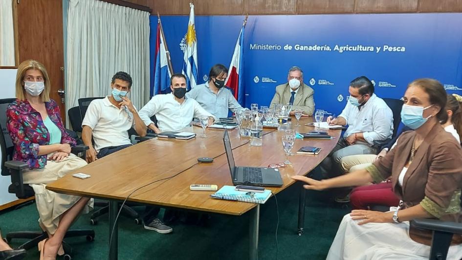 Comisión de emergencia Comisión de emergencia