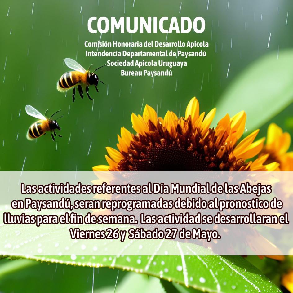 bee day dia abejas