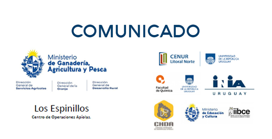 Comunicado mortandad de abejas