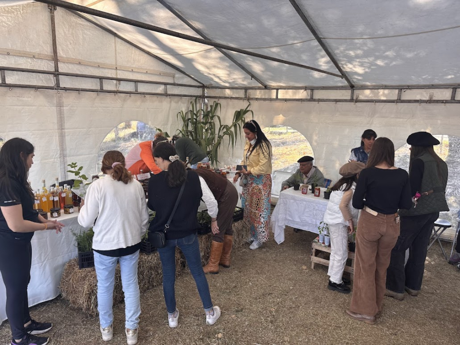 Conexiones que transforman Conexiones que transforman