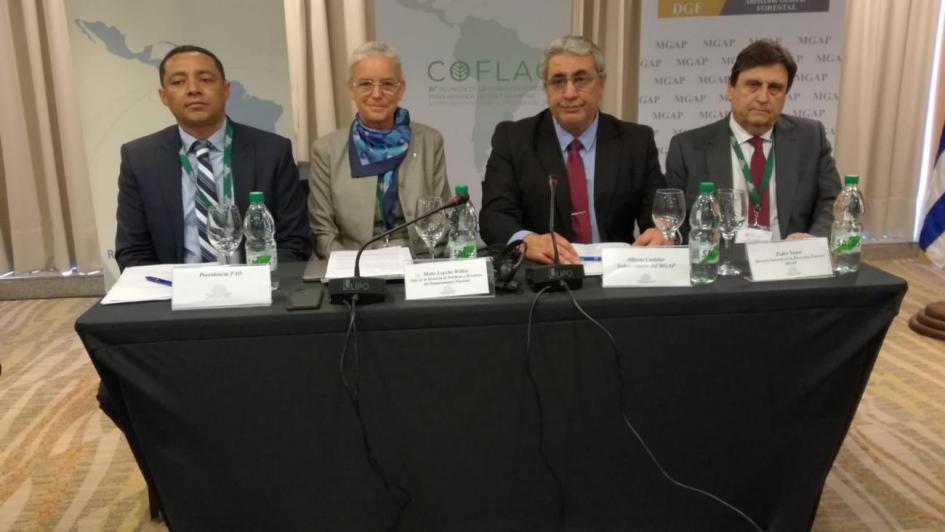 Reunión de la Comisión Forestal para América Latina y el Caribe Reunión de la Comisión Forestal para América Latina y el Caribe