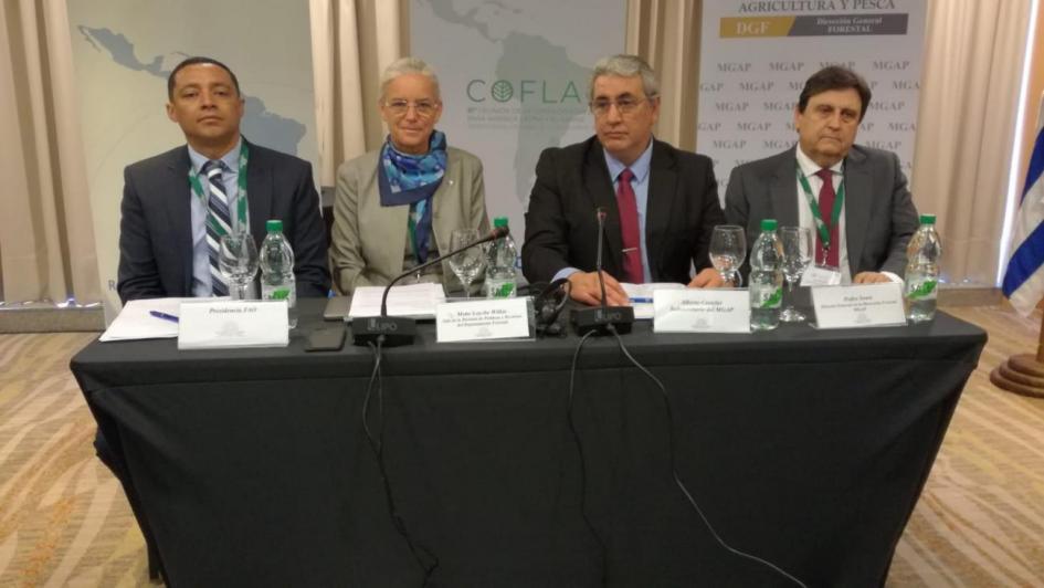 Reunión de la Comisión Forestal para América Latina y el Caribe Reunión de la Comisión Forestal para América Latina y el Caribe