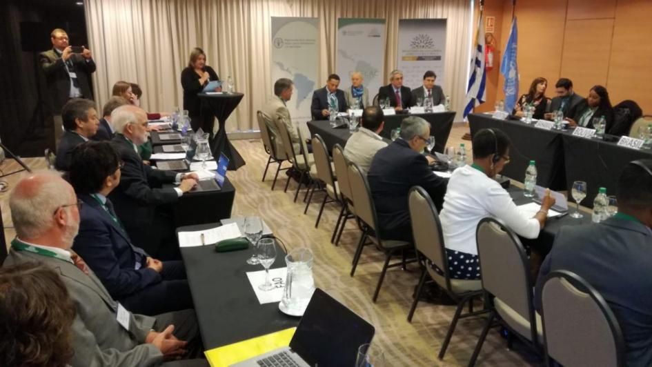 Reunión de la Comisión Forestal para América Latina y el Caribe Reunión de la Comisión Forestal para América Latina y el Caribe