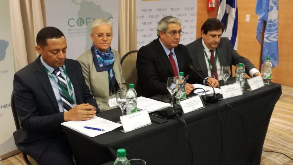 Reunión de la Comisión Forestal para América Latina y el Caribe Reunión de la Comisión Forestal para América Latina y el Caribe