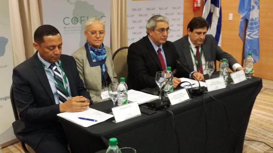 Reunión de la Comisión Forestal para América Latina y el Caribe