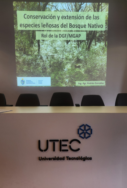 presentacion presentacion
