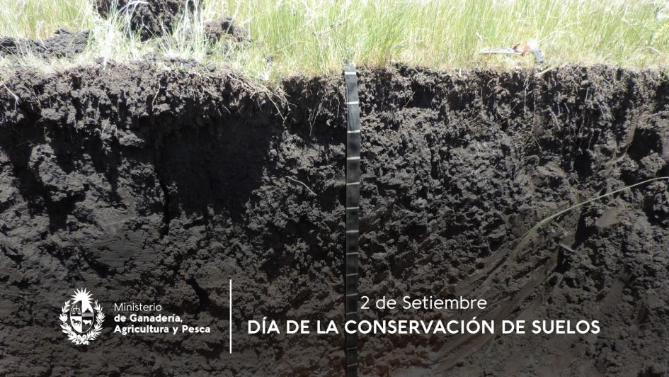 2 setiembre 2 setiembre