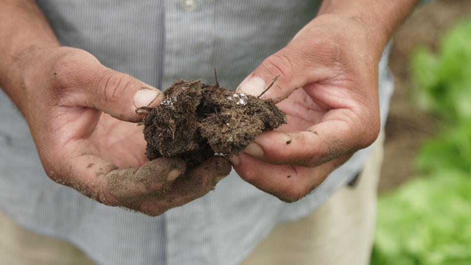 Agroecología