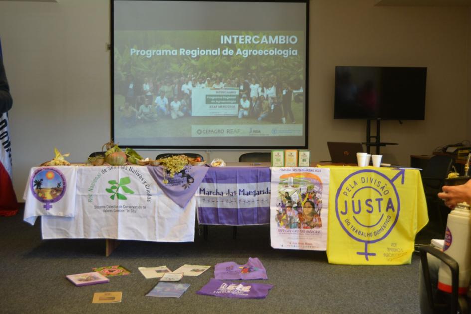 actividades en sala MGAP - DGDR actividades en sala MGAP - DGDR