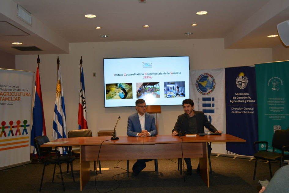 reunión IILA e IZSVe - REAF