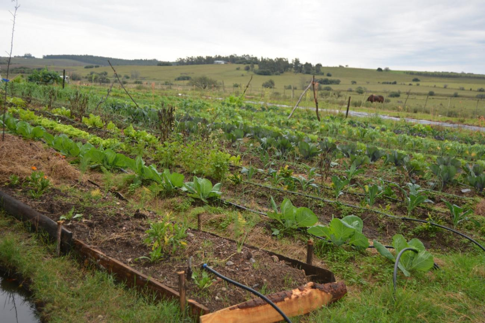 producción familiar