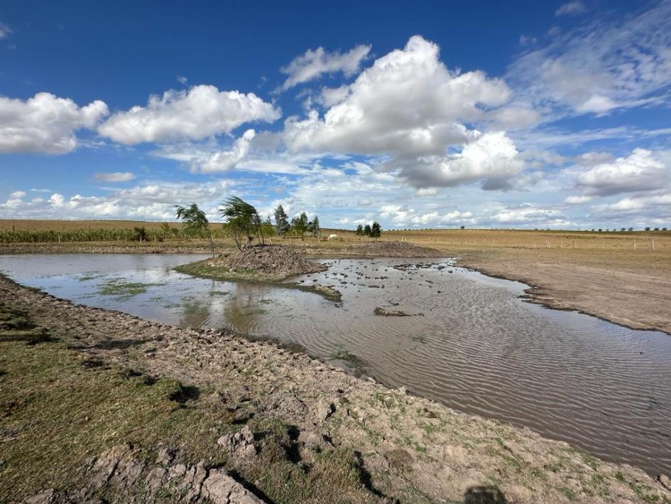 Declaración de Emergencia Agropecuaria Declaración de Emergencia Agropecuaria