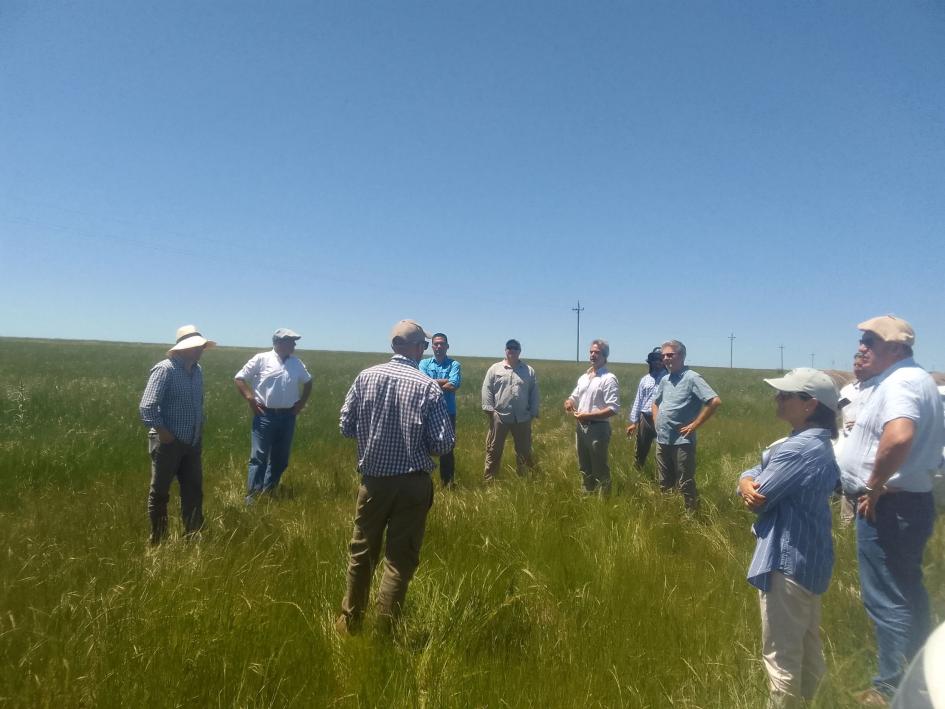 visita a predios proyectos ganaderos visita a predios proyectos ganaderos