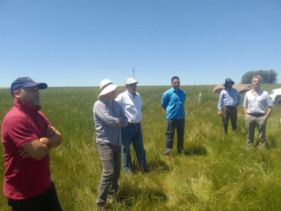 visita a predios proyectos ganaderos visita a predios proyectos ganaderos