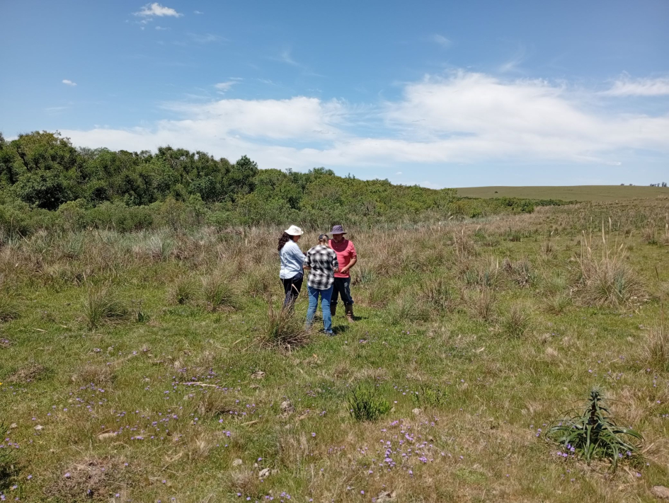 recorrida predios senda agroecológica recorrida predios senda agroecológica