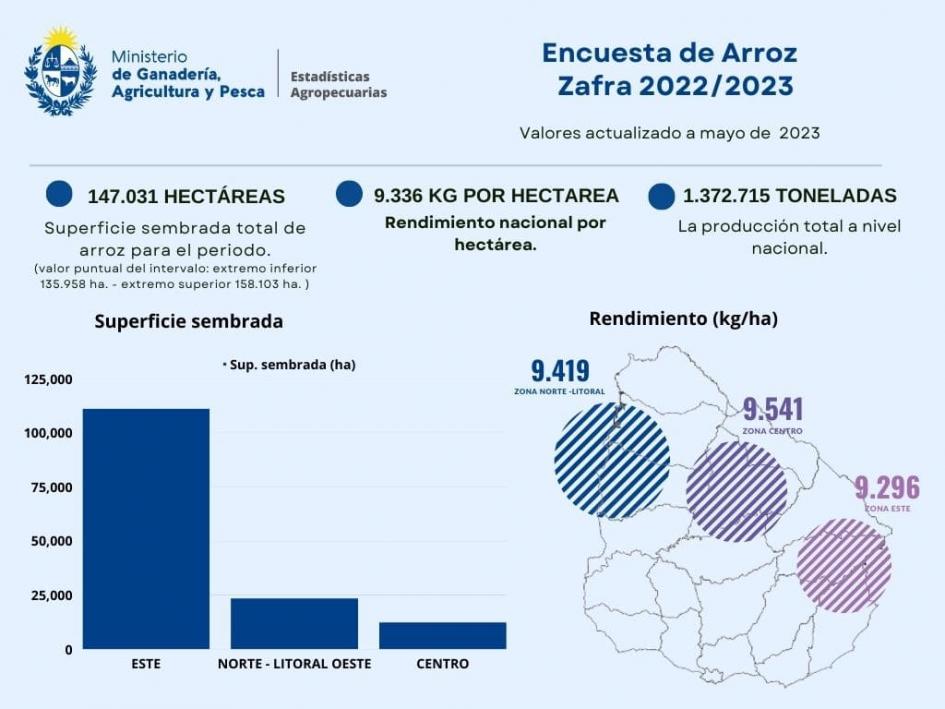 Grafica arroz '.'