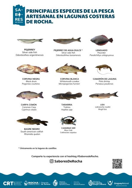Especies lagunas costeras
