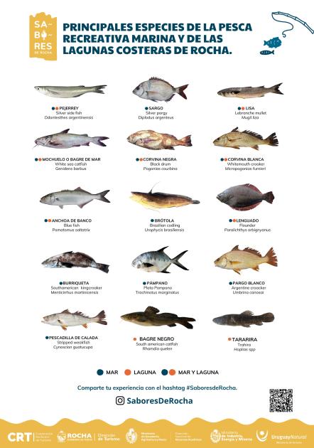 Especies pesca recreativa