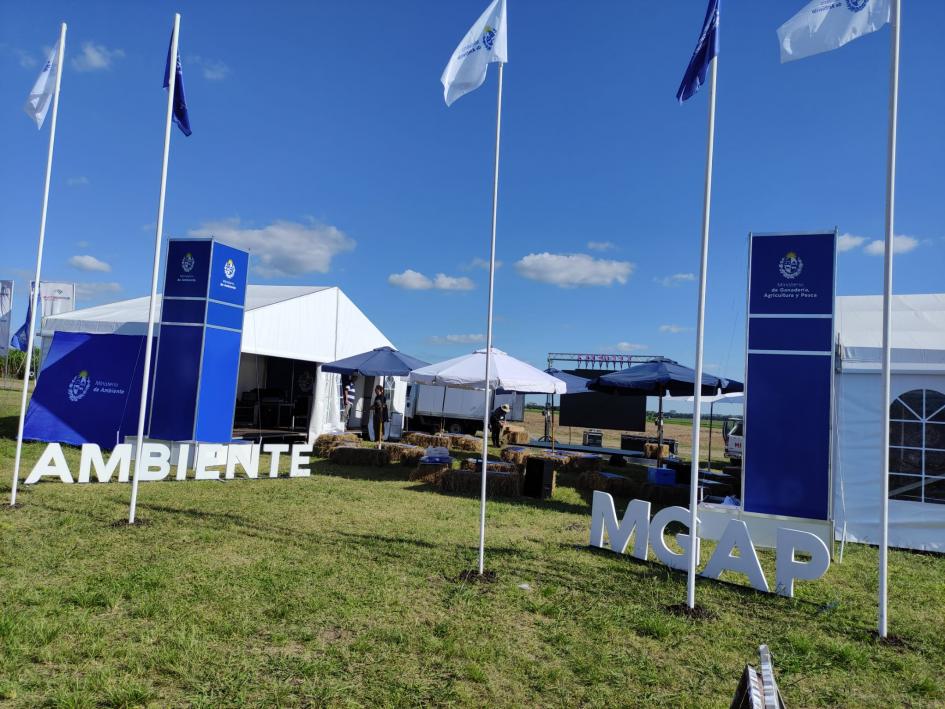 Estand Expoactiva Estand Expoactiva