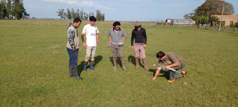 SAE control biológico de garrapata