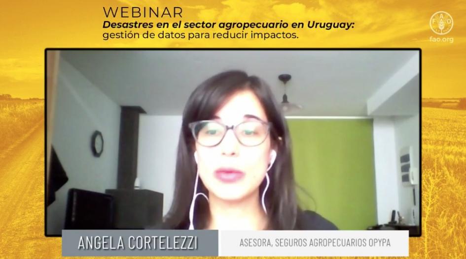 Webinar sobre desastres en el sector agropecuario