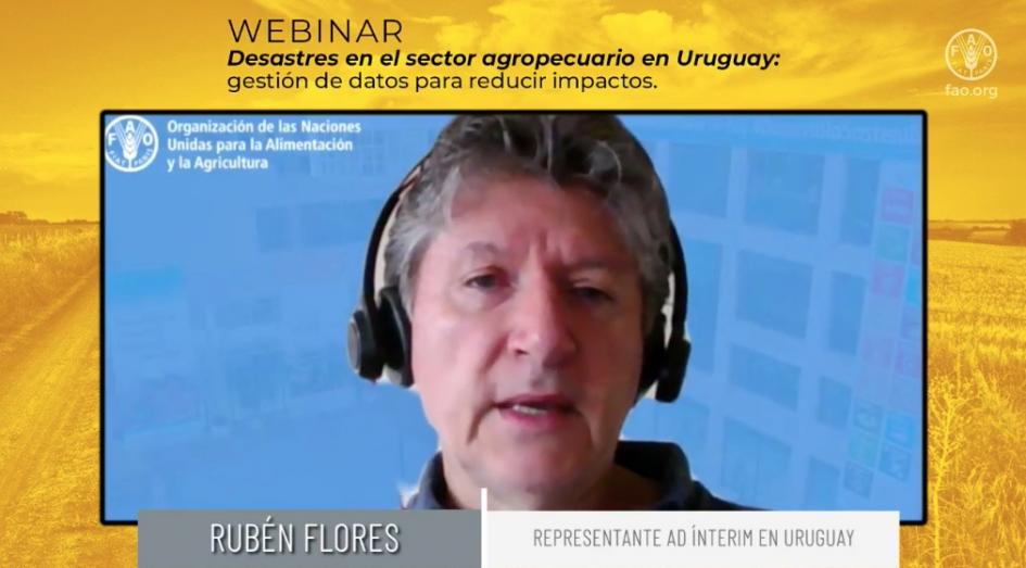 Webinar sobre desastres en el sector agropecuario